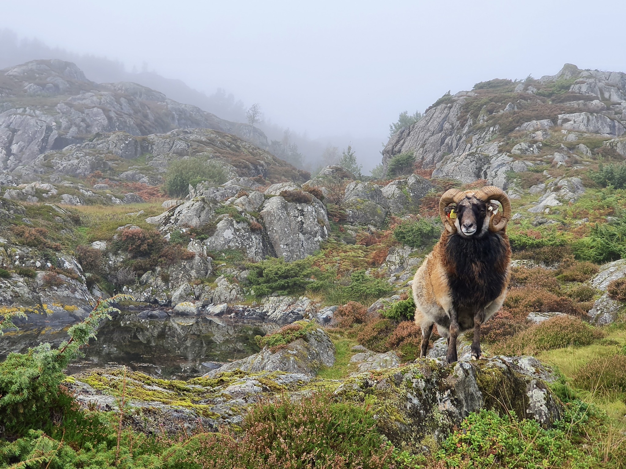 Markmøte 05.10.2023
